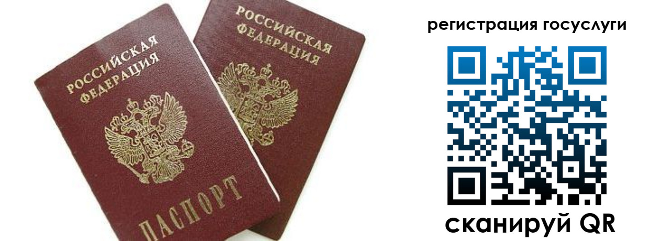 найти адрес прописки в Домодедово